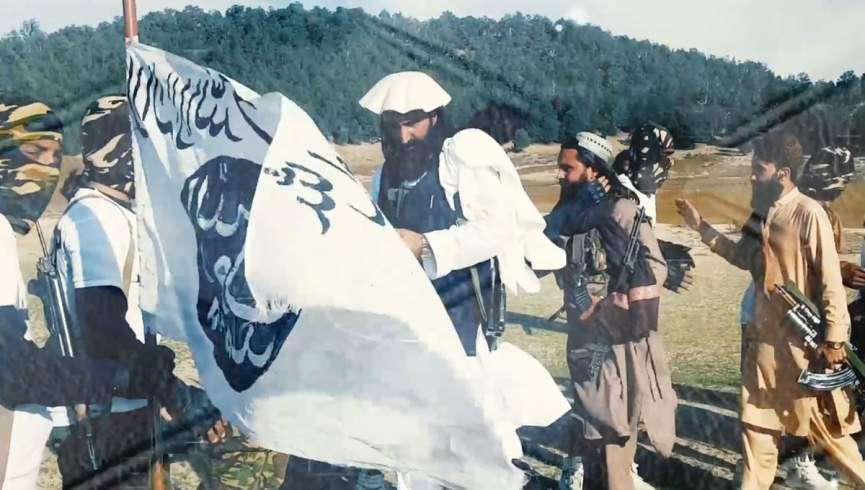 طالبان پاکستانی؛ راه حل طالبان و پیش‌شرط پاکستان