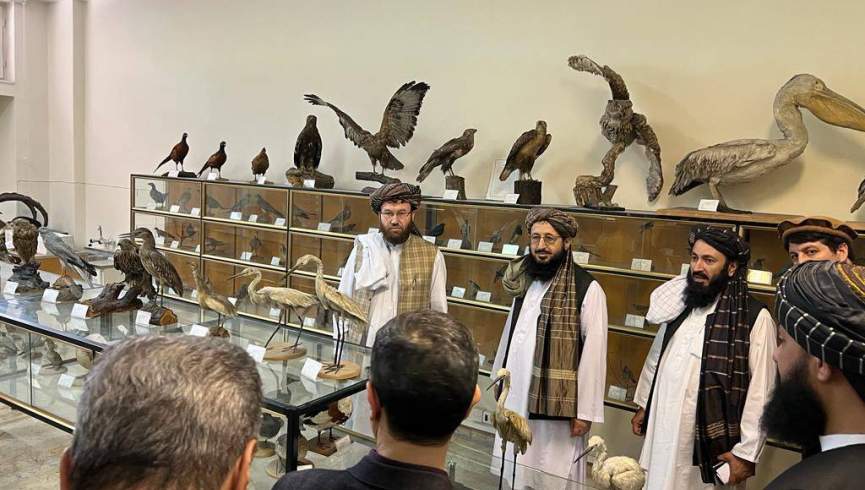 سرپرست وزارت زراعت طالبان از مرکز تحقیقات زراعتی ایران دیدن کرد
