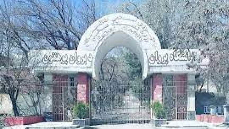 یک استاد دانشگاه در پروان از سوی طالبان بازداشت شد