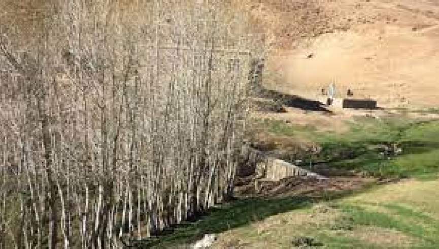 طالبان یک زیارتگاه شیعیان را در بامیان حفاری کرده‌اند