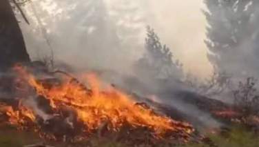آتش‌سوزی در جنگلات نورستان پس از سوختن 35 کیلومتر جنگل مهار شد