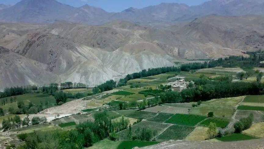 وردګو کې د پوهنې دوه تنه فعالین طالبانو ونیول