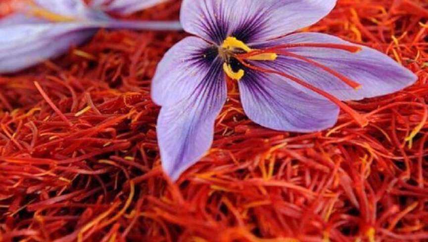 اگر افسردگی دارید زعفران بخورید