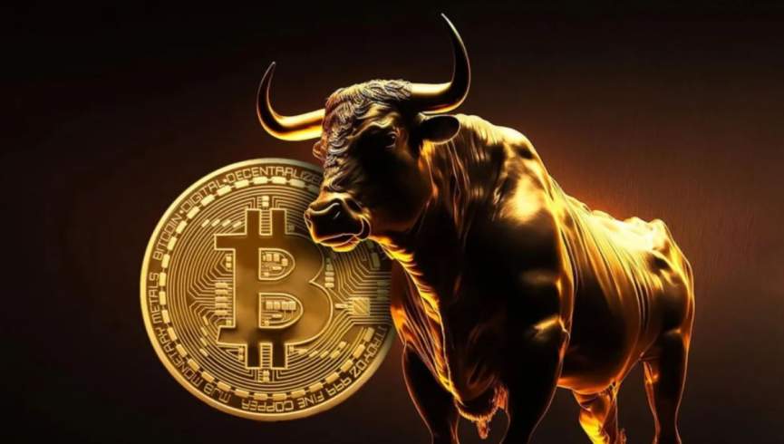 گاوها دوباره به بازار بیت کوین بازگشته‌اند