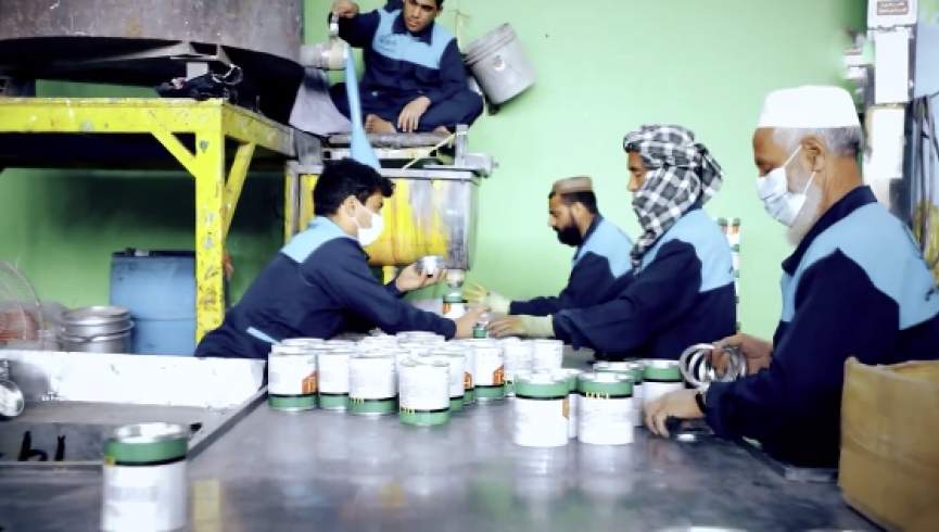 افغانستان د رنګ د تولید برخه کې پر ځان بسیا شوی