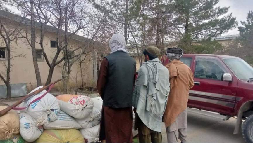 پکتیا کې د نشه يي توکو د تولید یوه کارخونه له منځه وړل شوې