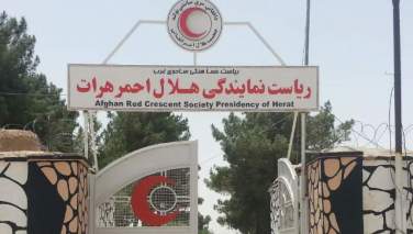 موږ هره ورځ کډوالو ته تر شپږو زرو پورې د خوراکي توکو کڅوړې ویشو