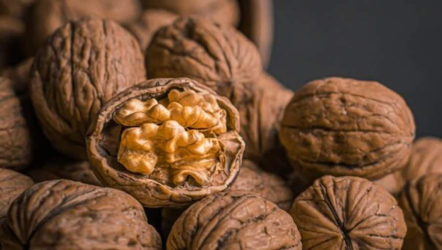 کاهش چشمگیر خطر ابتلا به آلزایمر با مصرف منظم چهارمغز