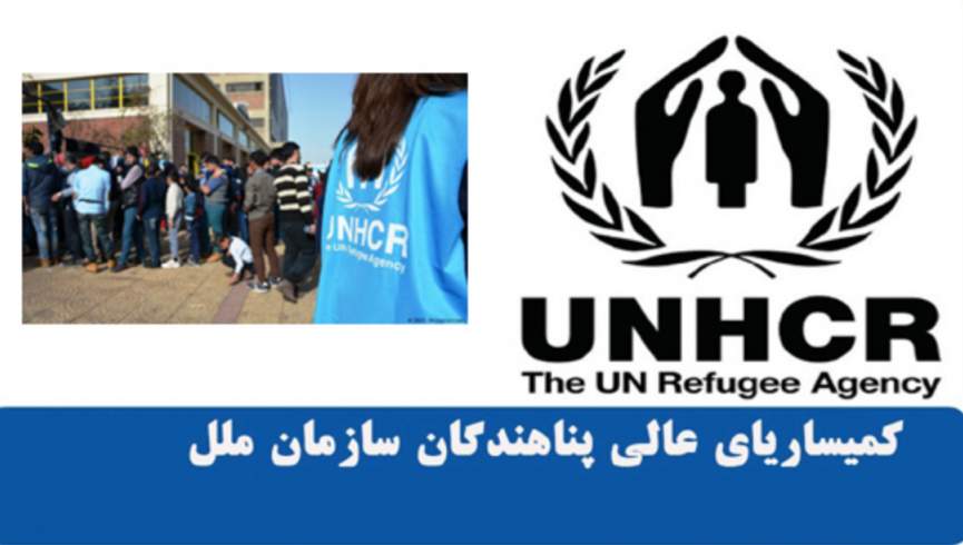 رسوایی مالی در دفتر نمایندگی کمیساریای ملل متحد در زون مرکز؛ فعالیت‌ها متوقف شد
