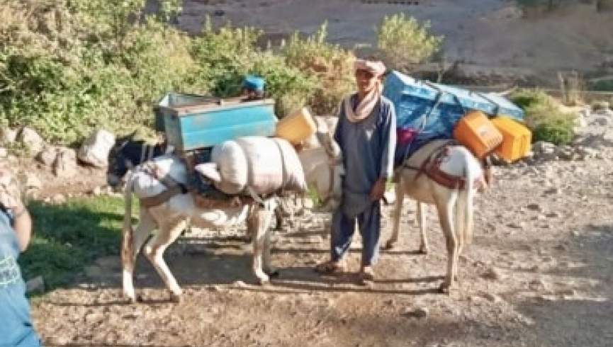 نام‌گیرگ؛ ابزار قتل‌های هدفمند و ایجاد وحشت در بین هزاره‌ها