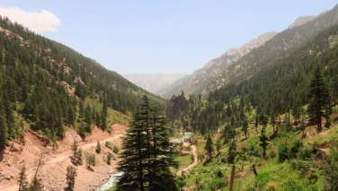 فائو په نورستان کې د ۱۰۰۰ هکتاره څخه زیات ځنګلونه بیا رغوي