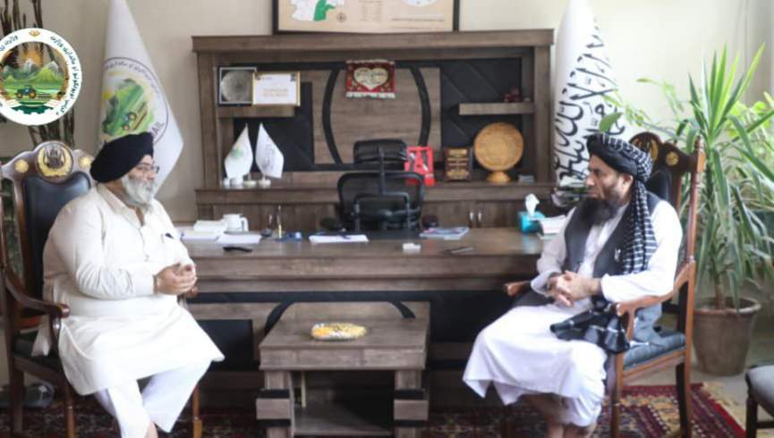 هندي شرکت د افغان کرنیزو محصولاتو د پیرودلو لپاره چمتووالی اعلان کړ