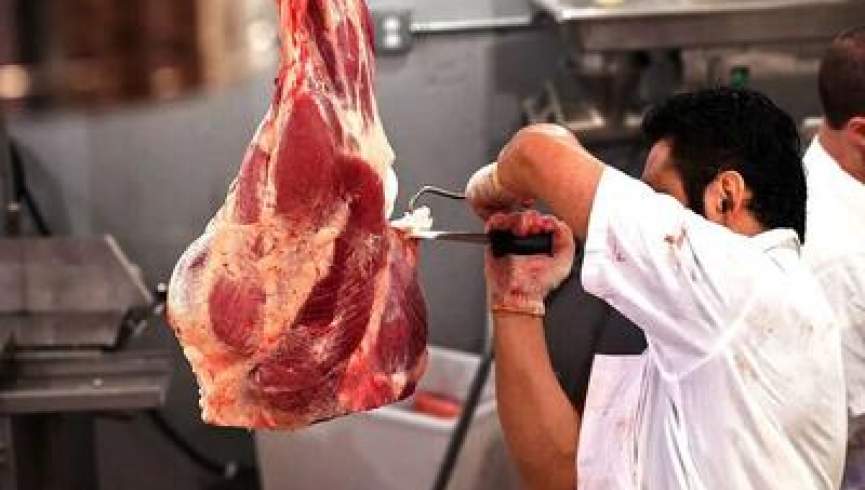 رسوایی بد یک کشور عربی برای صادرات گوشت به اسرائیل