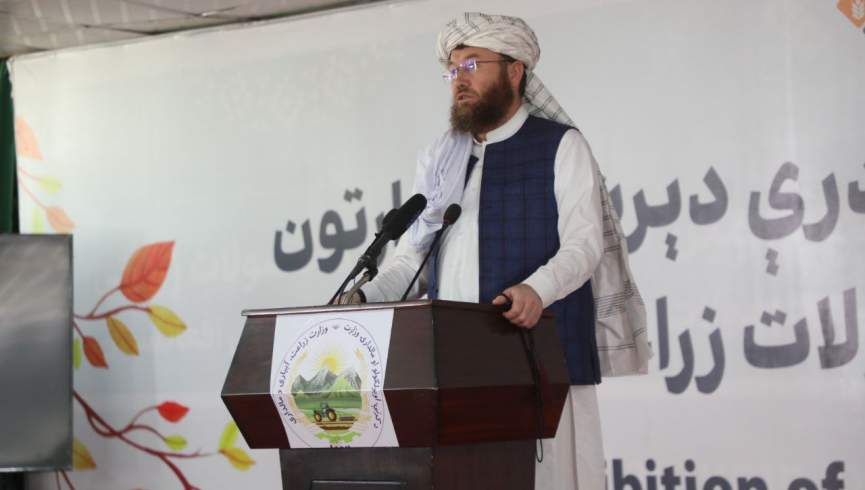 تمرکز امارت بر توسعه زراعت و مالداری سبب افزایش تولیدات و خودکفایی در بخش مواد غذایی شده‌است