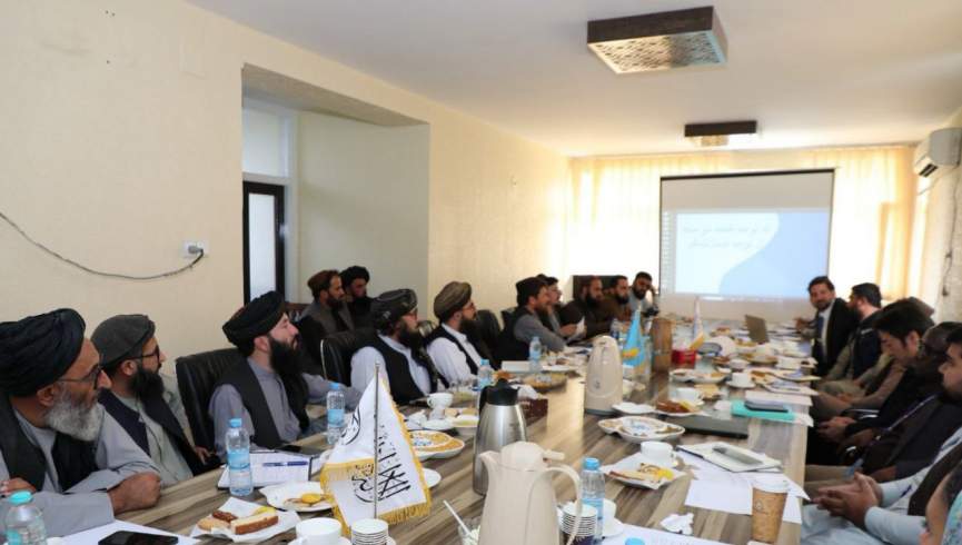 سازمان ملل بر اهمیت اشتغال‌زایی برای کشاورزان افغانستان تأکید کرد