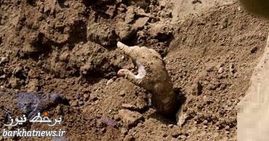 دختری ۱۳ ساله در پاکستان، پس از تجاوز، زنده به گور شد