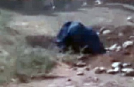 زنی در هرات توسط شوهرش سنگسار شد