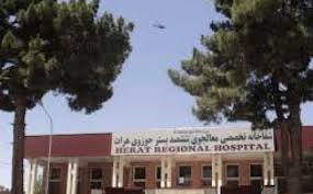 کشته شدن یک زن و جراحت دو مرد در هرات