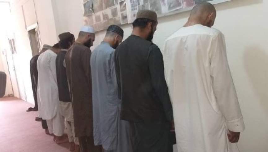 گروه 7 نفری هراس افگنان طالب در ولایت قندهار بازداشت شدند