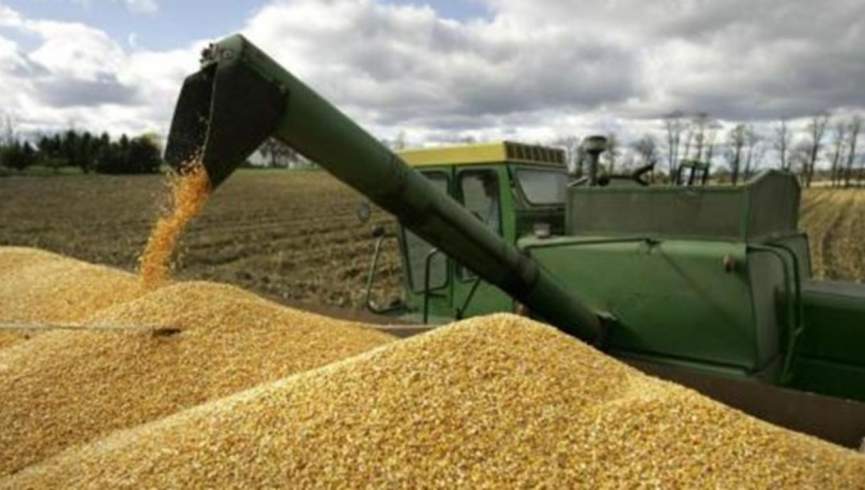 دولت افغانستان 70 هزار تن گندم از قزاقستان خریداری می‌کند