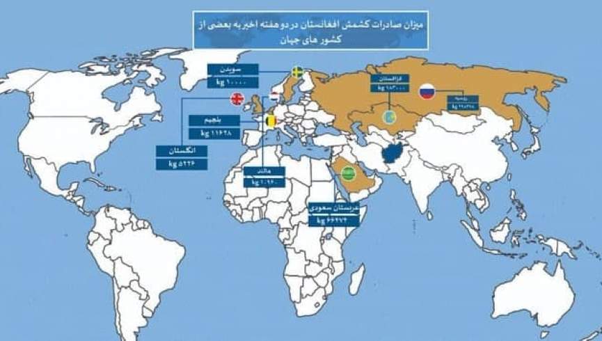 طالبان: در دو هفته گذشته نزدیک به 700 تُن میوه‌ خشک صادر شده است