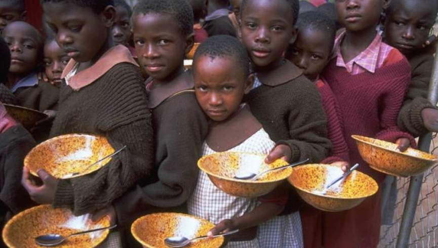 thebiafrastar.com