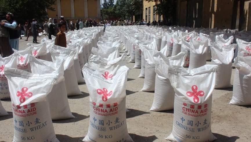 وزارت مهاجرین برای 1200 فامیل نیازمند مواد غذایی توزیع کرد