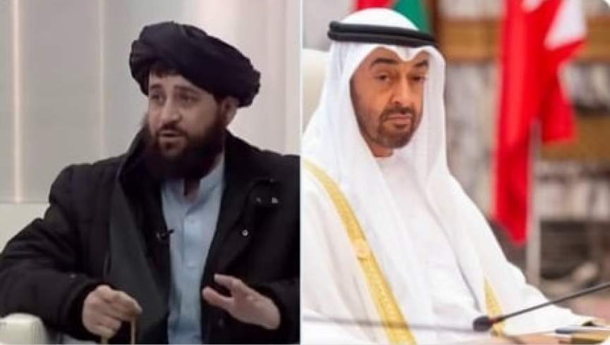 مولوي یعقوب د عربي اماراتو د دولت له رییس سره لیدلي