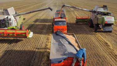 کمبود گندم در پاکستان؛ دولت اسلام آباد 118 هزار تن گندم و غلات وارد کرد