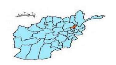 طالبان در پنجشیر 5 نفر به شمول دو نظامی پیشین را بازداشت کردند
