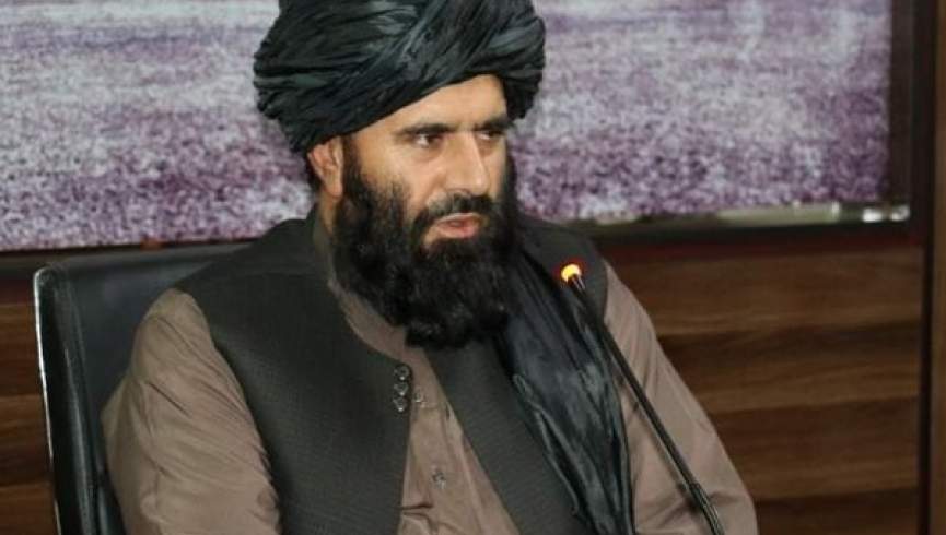 کشته شدن والی طالبان در بلخ؛ کارمندان مقام ولایت بازداشت شدند