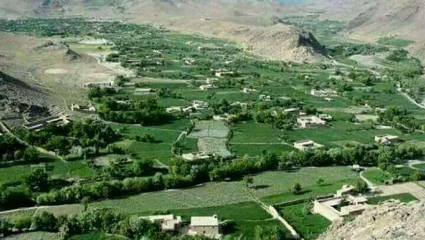 طالبان در ولسوالی اشترلی دایکندی گله دختر را منع کردند