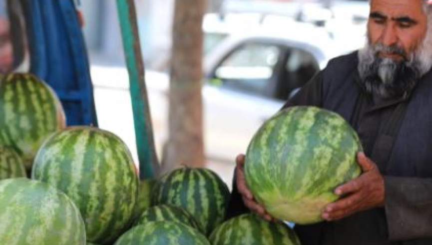 خوردن این مواد غذایی بعد از تربوز ممنوع است