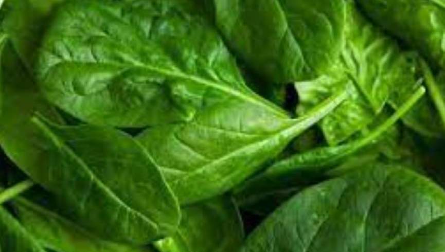 با فواید شگفت‌انگیز پالک آشنا شوید