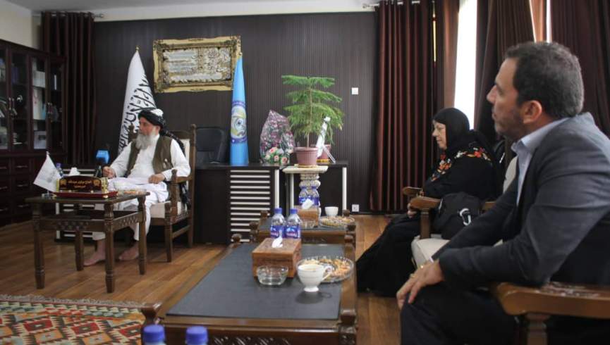 تناقض‌گویی طالبان در مورد کشت موادمخدر در بامیان