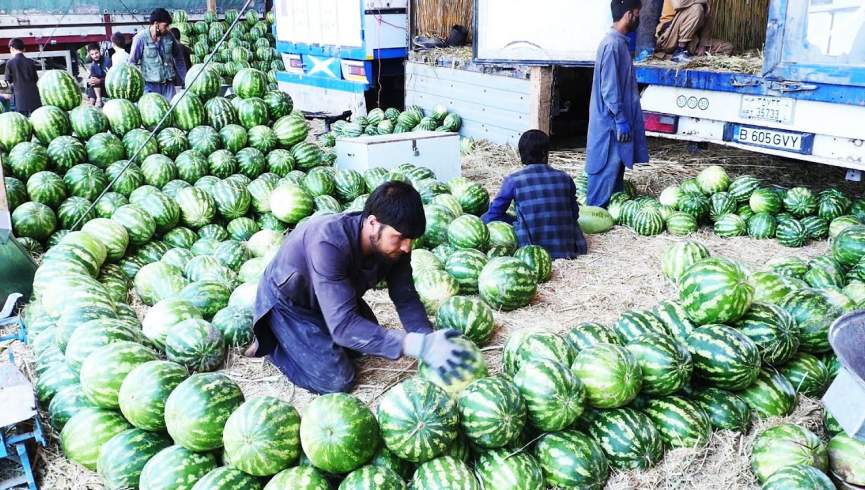 یافته های جدید در مورد خواص تربوز که باید بدانید