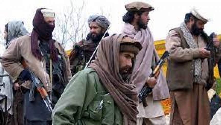طالبان پاکستانی چندین قریه را در چترال پاکستان تصرف کردند