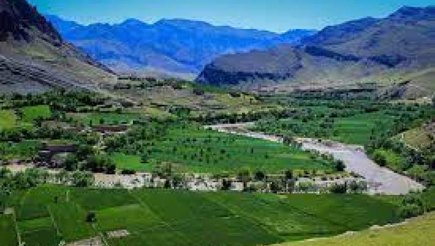 تلاش دو عضو طالبان برای تجاوز بر یک دختر در دایکندی ناکام ماند