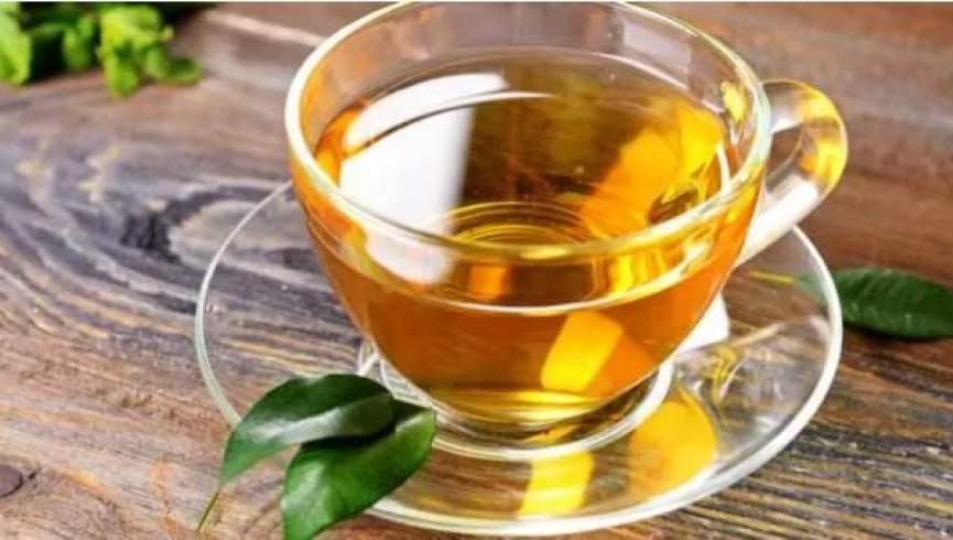 تاثیر چای سبز در کاهش وزن انسان