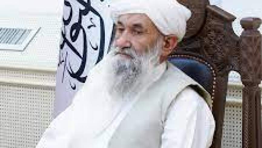 رئیس الوزرای گروه طالبان با هیات علمای جهان اسلام دیدار کرد
