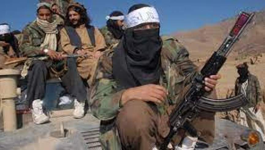 افغان طالبانو د ټي ټي پي ډلې یو شمېر غړي نیولی