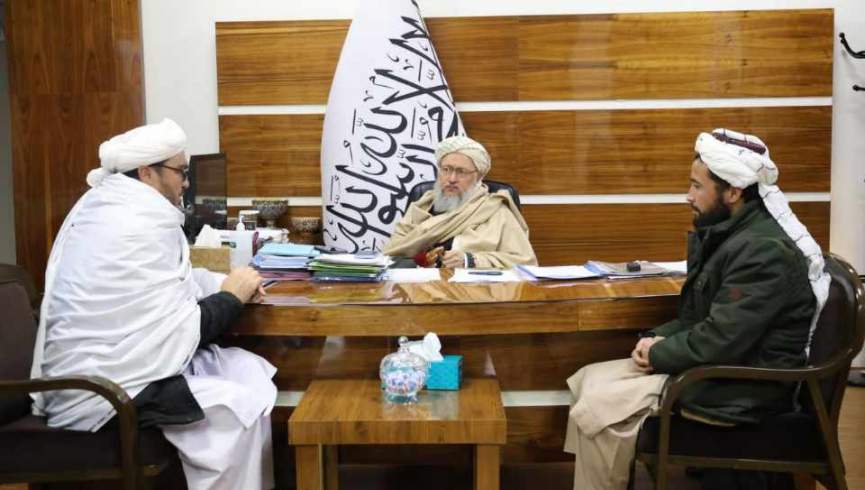 حنفی: علمای دین در تحکیم امارت طالبان تلاش کند