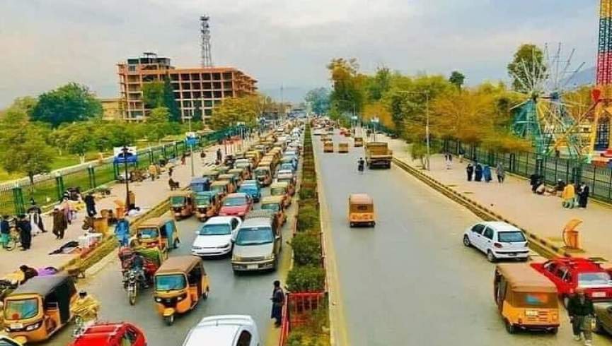 طالبان یک جوان هیزوم‌کش را در ننگرهار با شلیک گلوله کشتند