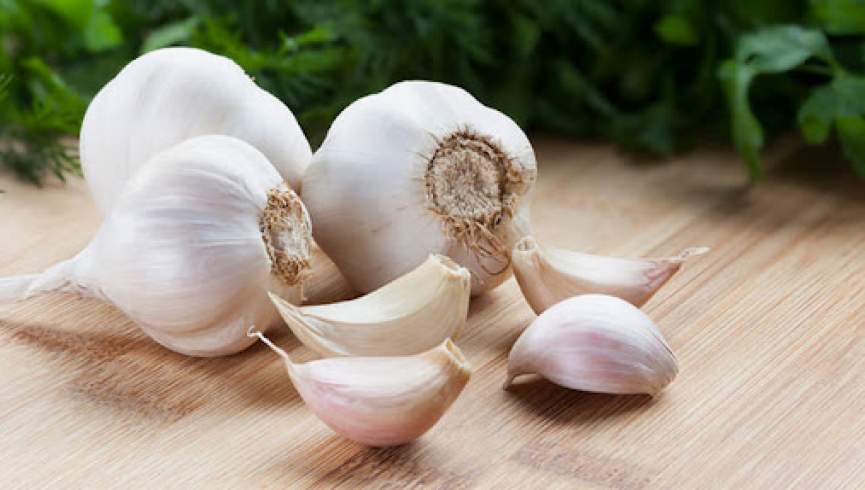 سیر یک آنتی بیوتیک طبیعی