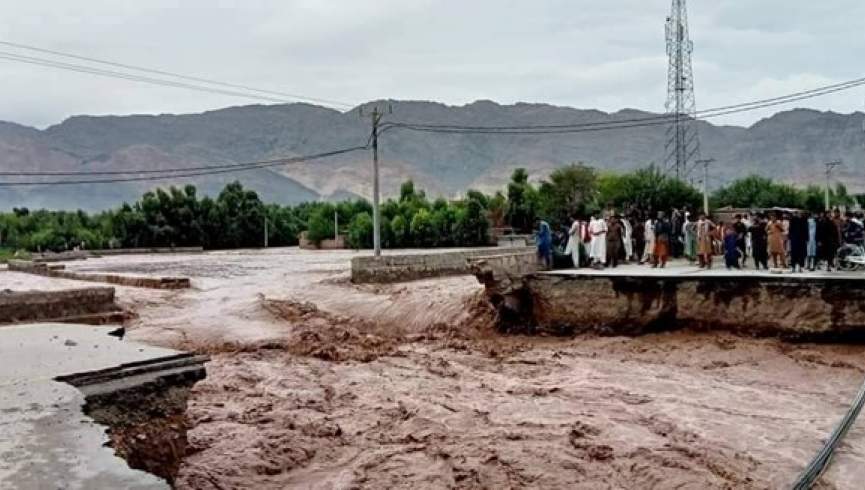 طالبانو په غور کې درې تنه په عام محضر کې په دورو ووهل