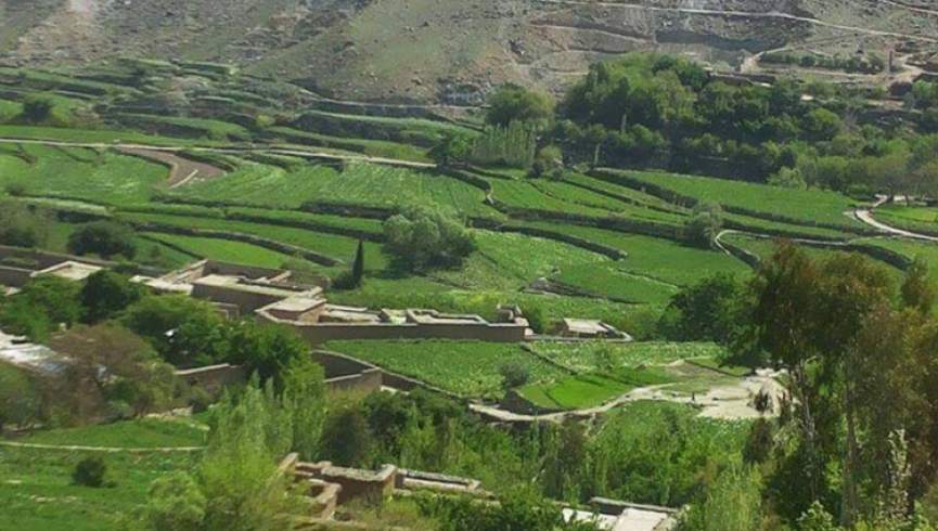 یک دهقان در نتیجه انفجار ماین در ننگرهار کشته شد