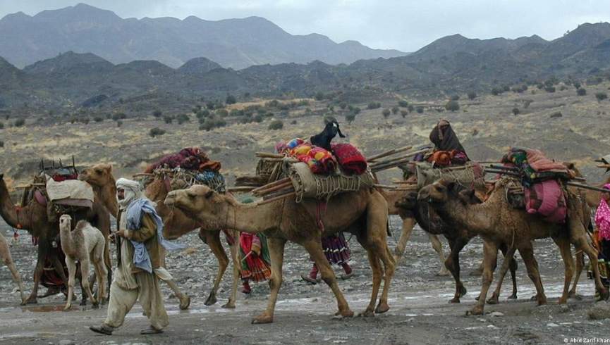 طالبان دعاوی میان هزاره‌ها و کوچی‌ها را به نفع کوچی‎ها فیصله کرده‌اند