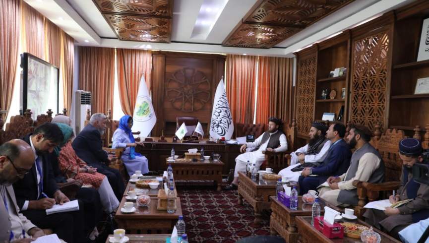طالبان با شرکت در سومین نشست دوحه بدیل کشت کوکنار را معرفی کنند