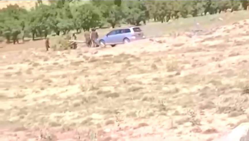 طالبان درختان مثمر و غیر مثمر باشندگان جاغوری را قطع می‌کنند