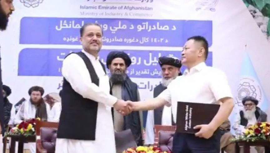 قرار‌داد صادرات نخ‌پنبه به چین میان سکتور خصوصی افغان- چین امضا شد
